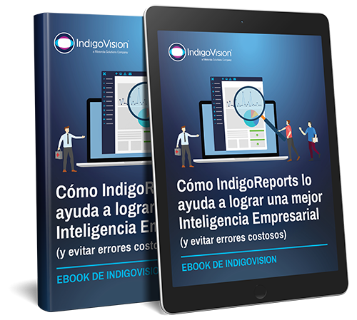 IndigoReports Ebook cover