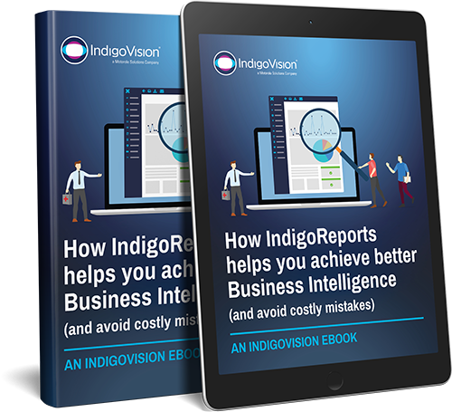 IndigoReports eBook Cover