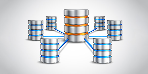 Network database concept Network database concept with hosting data devices connected realistic 3d vector illustration