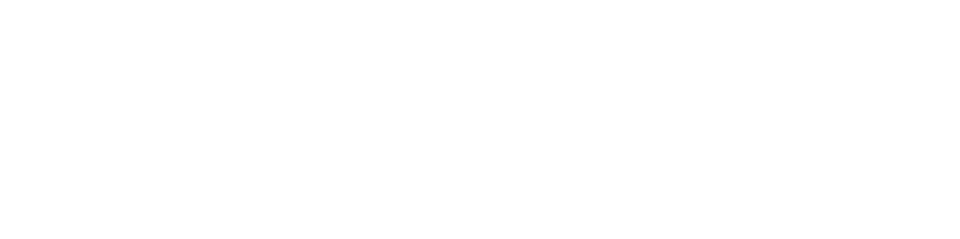 IndigoVision